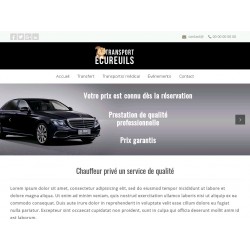 Site vitrine sur modele existant + logo
